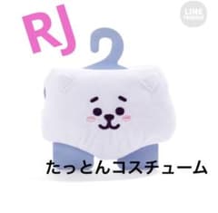 BT21 탄톤 코스튬 S사이즈 RJ 아르제이