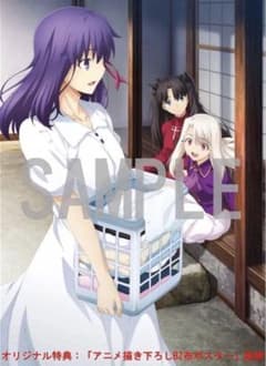 극장판 Fate/stay night Heaven's FeelB2 천 포스터
