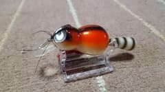 ズイール　アライくん　NAカラーのサムネイル