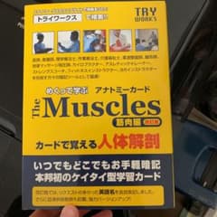 筋肉暗記カード　トライワークス　アナトミーカードのサムネイル