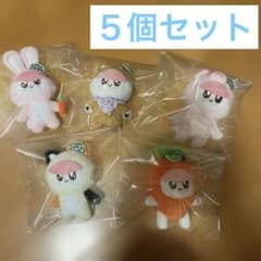 SEVENTEEN ボンボンイ 着ぐるみ ぬいぐるみ 5点 まとめ売り SEVENTEENセブチ ボンボンイ ぬいぐるみ 着ぐるみBONGBONG - メルカリ