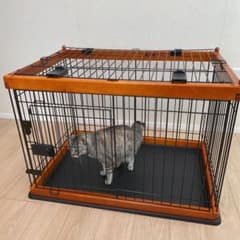 ドッグサークルのサムネイル