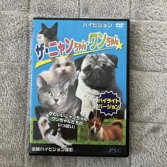 ザ・ニャンちゃん・ワンちゃん DVDのサムネイル