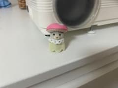 シルバニアファミリー 赤ちゃん森のお花畑 ハスキーの赤ちゃんのサムネイル