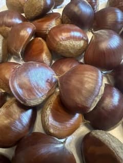 茨城県産　無農薬　1.4kg 2L 3L L M サイズミックス新鮮な生栗のサムネイル