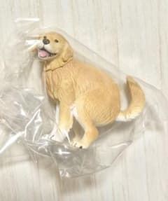 後ろ姿もとってもキュート！　ふんばり～ぬ2　ゴールデンレトリバー