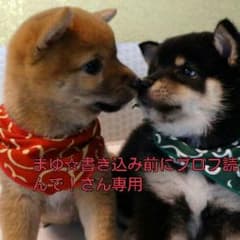 アセチノスリムタップグランデのサムネイル