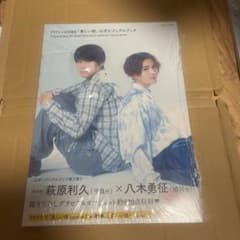 美しい彼　公式ビジュアルブック　TVドラマ&劇場版のサムネイル