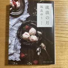 流浪の月　文庫のサムネイル