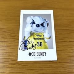 サンロッカーズ渋谷　サンディー　チェキ風カードのサムネイル
