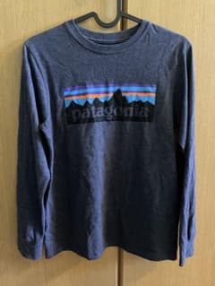 い*̮様 patagonia ロングスリーブTシャツ L12のサムネイル