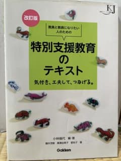教員と教員になりたい人のための特別支援教育のテキスト : 気付き、工夫して、つ…のサムネイル
