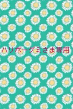 英文法・語法問題 新演習 750 解答付きのサムネイル