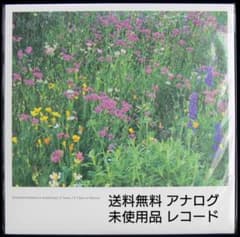 未使用品アナログレコード　Kazufumi Kodama & Undefined