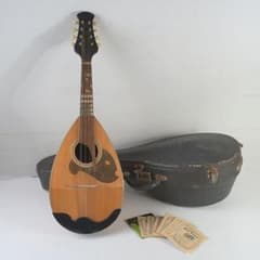 マンドリン 東京師道音楽学校責任制作 №C号 弦・ハードケース付 V