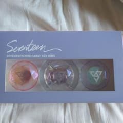 SEVENTEEN ペンライトアクセサリーのサムネイル
