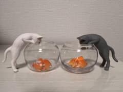 猫と金魚のサムネイル
