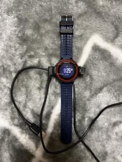 ガーミン　GARMIN ForeAthlete 220Jのサムネイル