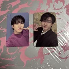 Stray Kids スキズ　DO IT アコーディオン　トレカ　チャンビンのサムネイル