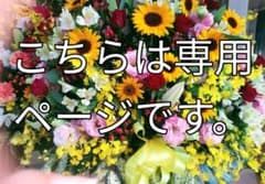 専用ページです。のサムネイル