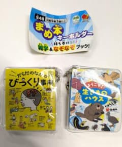 まめ本キーホルダー 2点セット 雑学＆なぞなぞブック すかいらーく - 3