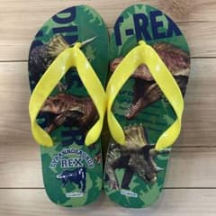ビーチサンダル22センチ⭐︎恐竜のサムネイル