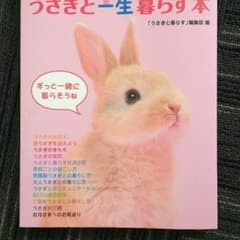うさぎと一生暮らす本 うさぎと暮らす編集部 編のサムネイル