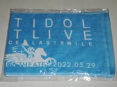 ラストアイドル ラストライブ 2022 5 29 タオル