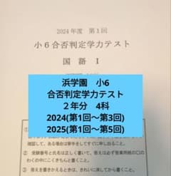 浜学園 小6 合否判定学力テスト４科 2024年(3回分)2025年(5回)のサムネイル
