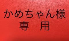 かめちゃん様専用❗️Z会　小５　問題集６月号エブリスタディ　英語　５年生のサムネイル