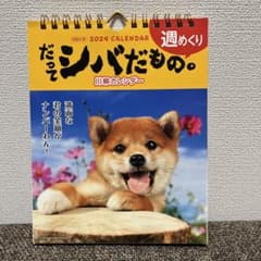 2024週めくりカレンダー　だってシバだもの。川柳カレンダーのサムネイル