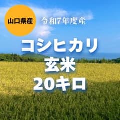 令和7年山口県産 コシヒカリ玄米 20キロ - メルカリ