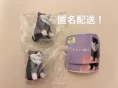 【匿名配送】おすわりーぬ２　黒しばいーぬ×2のサムネイル