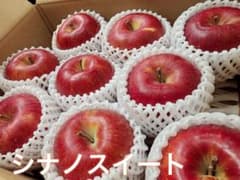 数量限定！ シナノスイート　良品5kgのサムネイル