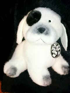 m58641864428_1.jpg?1563432982