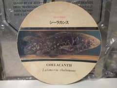 非売品☆80年代☆当時物 記念品 よみうりランド シーラカンス プレート 