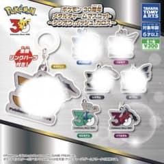 ポケモン 30周年 メタルチャームマスコット ゼルネアス　イベルタルのサムネイル