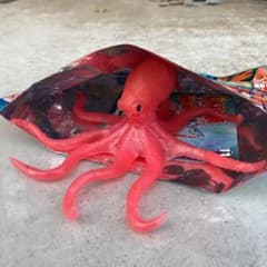 オーシャンアタック&co. ビック　タコのサムネイル