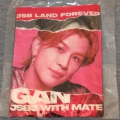 相談可能❣️JSB LAND FOREVER クッション　岩田剛典 三代目JSB 岩田剛典 クッション JSB LAND GAN - メルカリ
