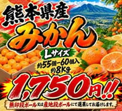 熊本県産 みかん Lサイズ 約8kg 55-60個入 - メルカリ