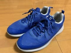 フットジョイFootjoy FJフレックスXP 25.5cmのサムネイル