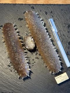 乾燥 沖なまこ ナマコ 500g A品 - メルカリ