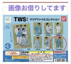 TWS 지우기 파일 파일 모음