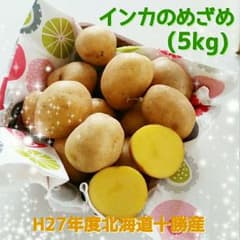 Piacere様♪H27年度北海道十勝産☆インカのめざめ(10kg)のサムネイル
