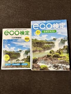 eco検定 公式テキスト・問題集セット 2025 エコ検定のサムネイル