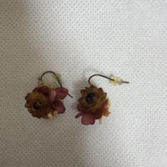 ドライフラワーのピアスのサムネイル