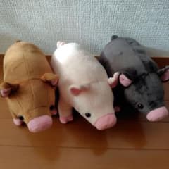 FANS　リアルなブタ　ぬいぐるみBIG　3個セット