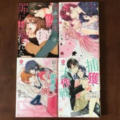 TLコミック4冊セットのサムネイル