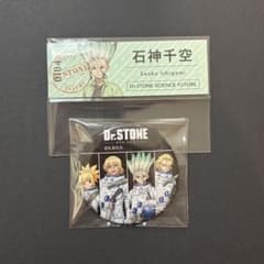Dr.STONE 缶バッジ+HMV旅特典カード セット - メルカリ