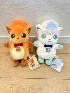ポケモンローカルActs物産展 ぬいぐるみ アローラロコン＆ロコン